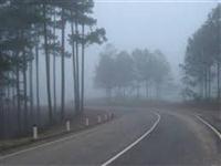 7 lưu ý “sống còn” khi lái xe trong sương mù
